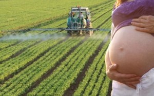 pesticidi e gravidanza